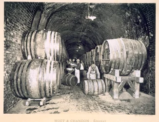 Wein in die Fässer gießen, aus 